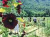Visite d'un lieu d'expérimentation de la permaculture : flânerie vagabonde