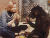 Koko, le gorille qui parle de Barbet Schroeder