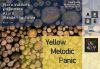 AEBE | Yellow Melodic Panic @ Panic Room