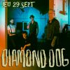 DIAMOND DOG - EXPO PHOTO - Jeu 29 Sept - 18h30⭑