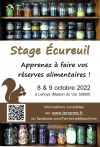 Stage écureuil