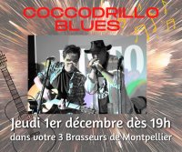 Coccodrillo Blues en concert au 3 Brasseurs