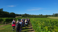 Rando des vignes  au Domaine du Berdet