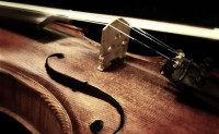 Audition de violon et musique de chambre