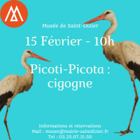 Picoti-Picota : cigogne