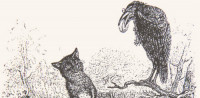 Lecture de fables animalières, d’Esope à la Fontaine | épisode 2