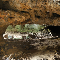 Balade Préhisto' "Du Musée aux grottes"