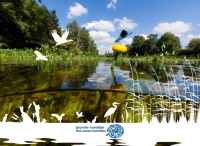 Ciné-débat: Attention fragile, les étangs de la Brenne