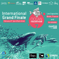 International Grand Finale "OCEAN HACKATHON"