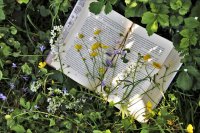 Conférence gesticulée : Le livre est-il écologique ?