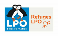 Découvrir un Refuge LPO dans la Brière