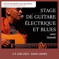 [Ecole des Arts]  Stage de guitare électrique et blues