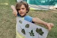 Atelier nature enfants 3/6 ans : Petits artistes de la nature
