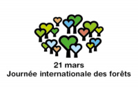 DUCEY (50) : journée internationale de la forêt