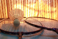 Tournoi de badminton 2023