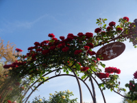 Jardin Le Clos fleuri Chabeuil Rendez-vous aux jardins 2023 : Auvergne - Rhône-A
