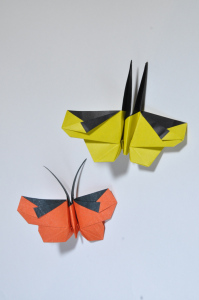 « Papillons de papier » - Initiation à l’origami