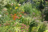 Ouverture exceptionnelle d'un jardin marqué par sa biodiversité.