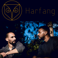Concerts : Harfang et Les semeurs de rythmes