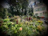 Visite découverte du Jardin "La Roseraie". Balade dans les Jardins d'Essoyes, pa
