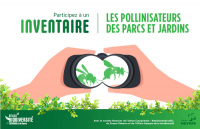 Inventaire participatif des pollinisateurs des parcs et jardins