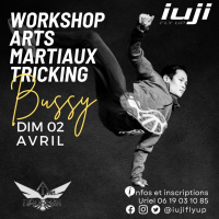 Workshop arts martiaux tricking  - Team Phoenix feat IUJI
