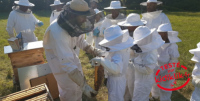 Atelier « le miel dans tous ses états »