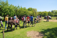 Ane de Pâques : Petite promenade à dos d'âne et poney