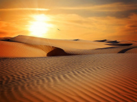 Heure du conte "Dans le désert"
