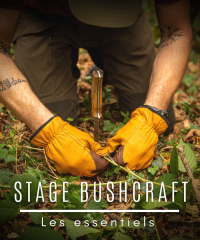 Stage Bushcraft