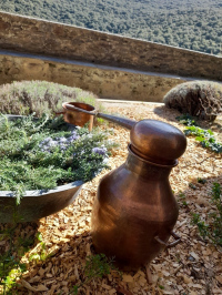 Atelier « distillation de plantes aromatiques avec un alambic, issues des jardin