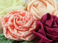 Rose et textile