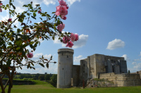 Visite libre du château Guillaume-le-Conquérant