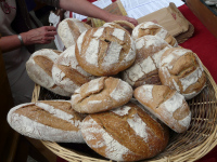 Balade accompagnée : La balade du pain