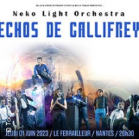 NEKO LIGHT ORCHESTRA ECHO DE GALLIFREY