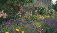Un jardin romantique autour de la Vénus de Quinipily