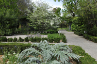 Visite du parc Borély, son jardin botanique et son sentier pollinier