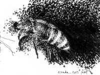 Exposition "Cicada"