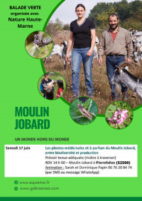 Les plantes médicinales du Moulin Jobard, entre biodiversité et production