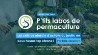 P'tit labo de permaculture - Les semis