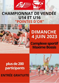 Championnat de Vendée - Les Pointes d'Or
