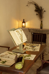 Visite-atelier : herbier & compagnie au château de Bussy-Rabutin