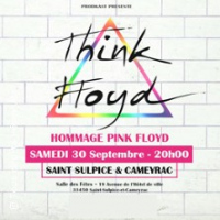 Hommage Pink Floyd par Think Floyd
