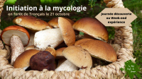 🍄 Initiation à la mycologie : journée découverte ou week-end en roulo