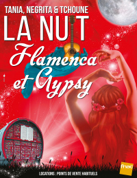 La nuit flamenca & gypsy