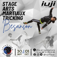 Stage d'arts martiaux tricking ✦ Taekwondo Club Besançon feat IUJI