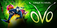Cirque du soleil - OVO