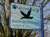 VAL-DE-REUIL (27) - Réserve ornithologique de la Grande Noë : Les premiers dépar