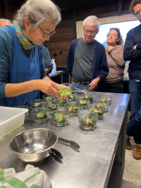 Atelier apprendre à cuisiner les algues alimentaires