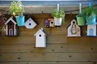 Atelier Fablab : Fabrique ton nichoir à oiseaux